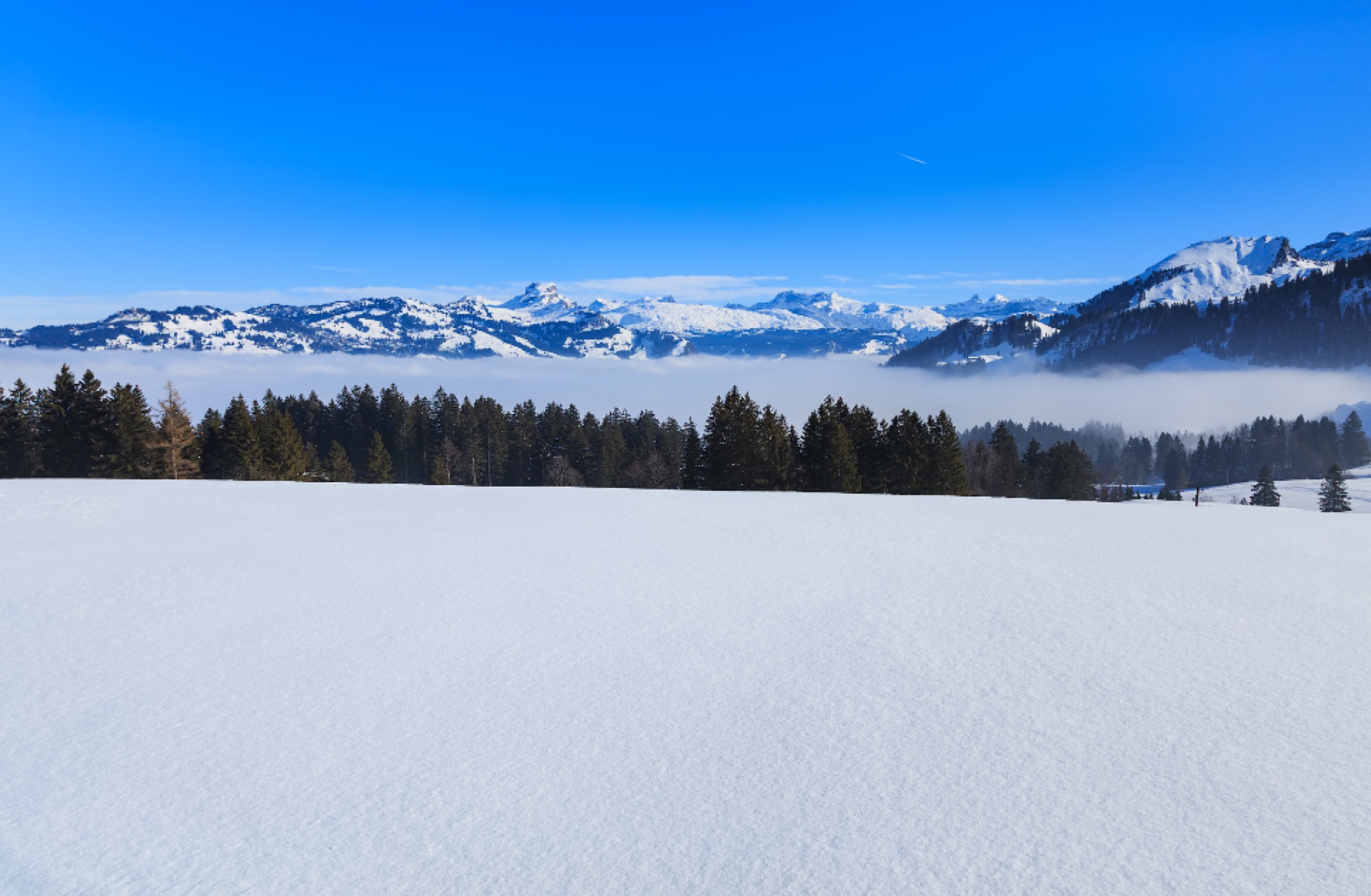 Courchevel 1850