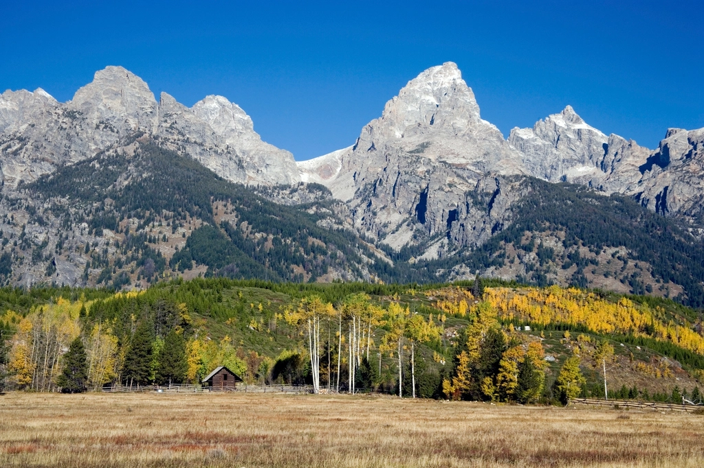 Jackson Hole