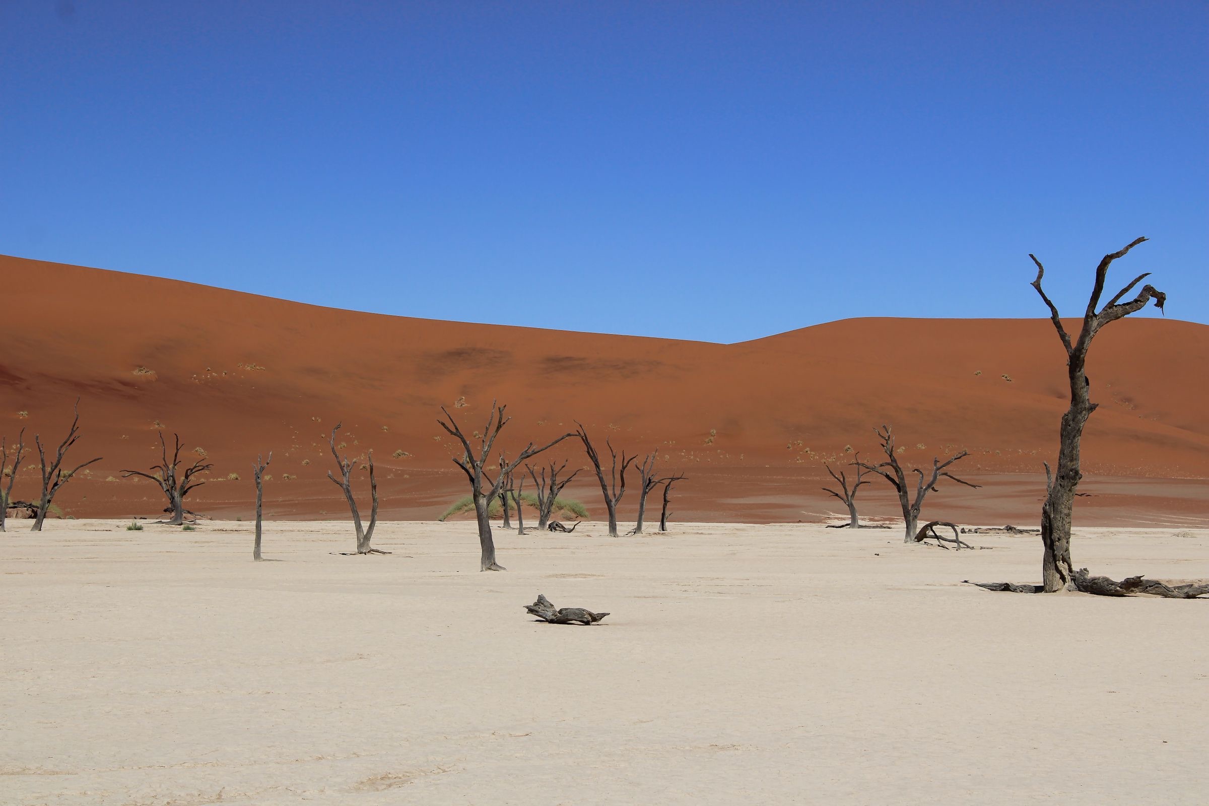 Sossusvlei & Damaraland