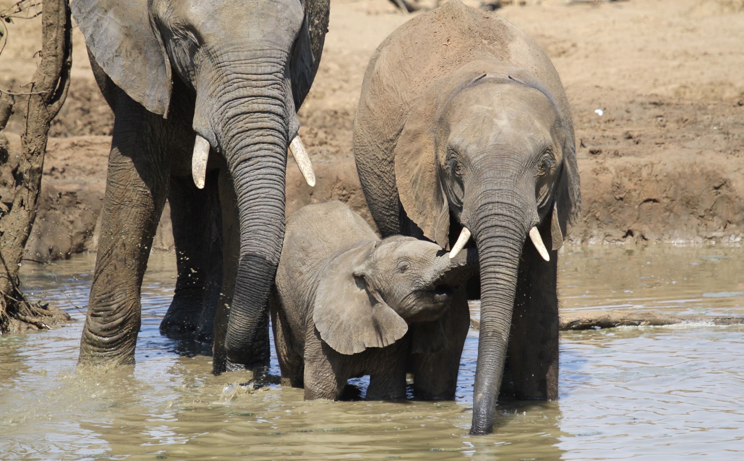 The Okavango Delta