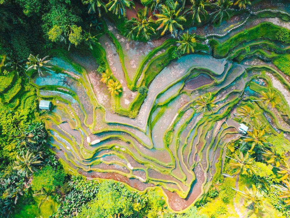 Bali