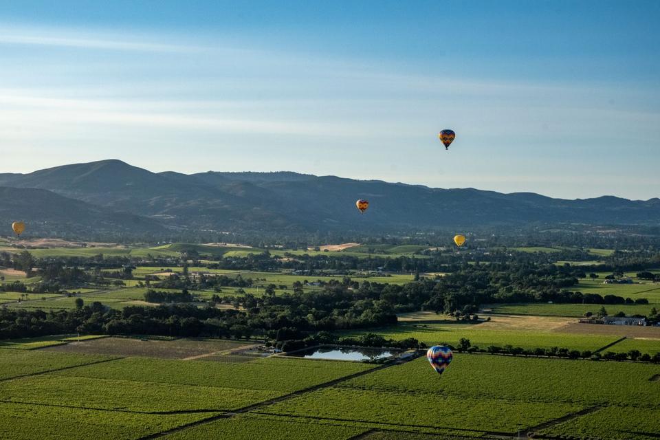 Napa Valley
