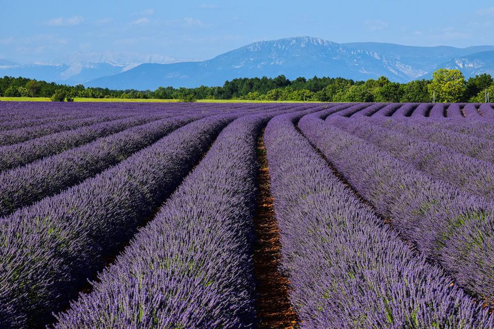 Provence
