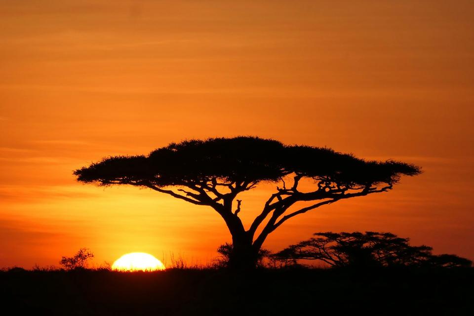 Serengeti