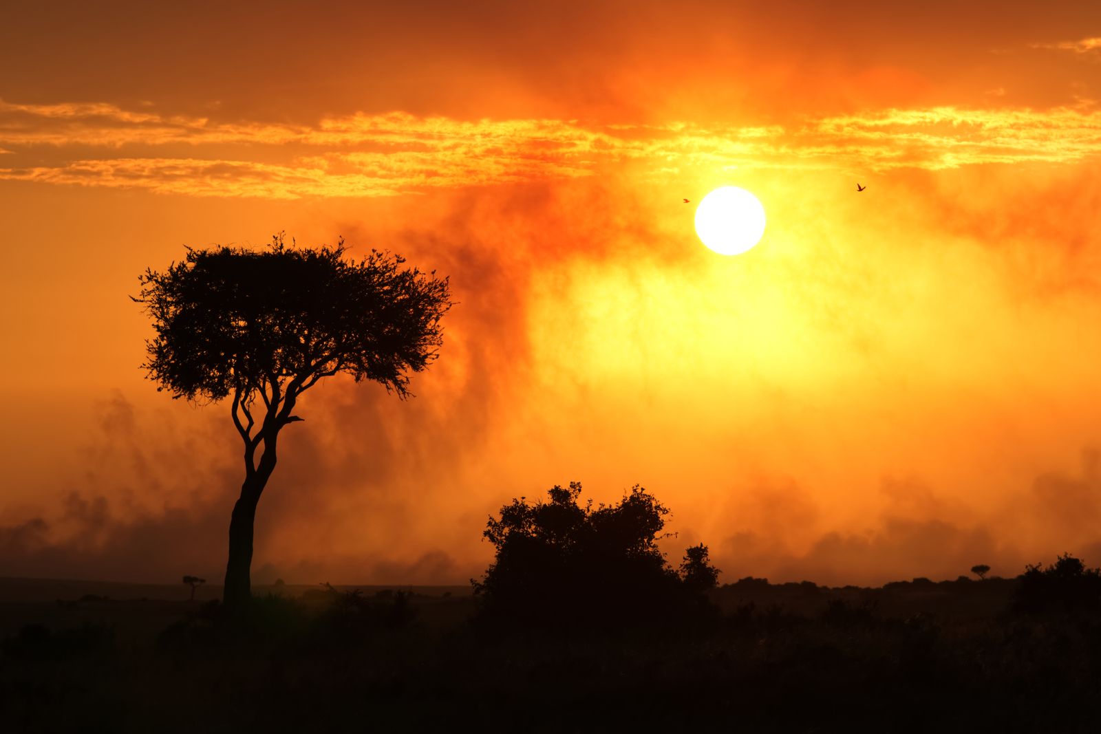 Angama Mara
